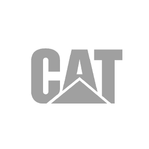 A green background with a cat logo.