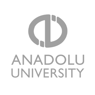 anadolu universty