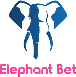 elephantbet Call Center Studio